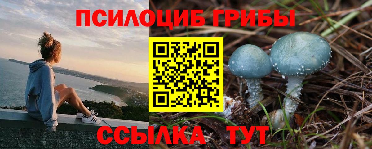 Кудымкар  Галлюциногенные грибы GOLDEN TEACHER  Псилоцибиновые грибы MAGIC MUSHROOMS  закладки  Вход с VPN 